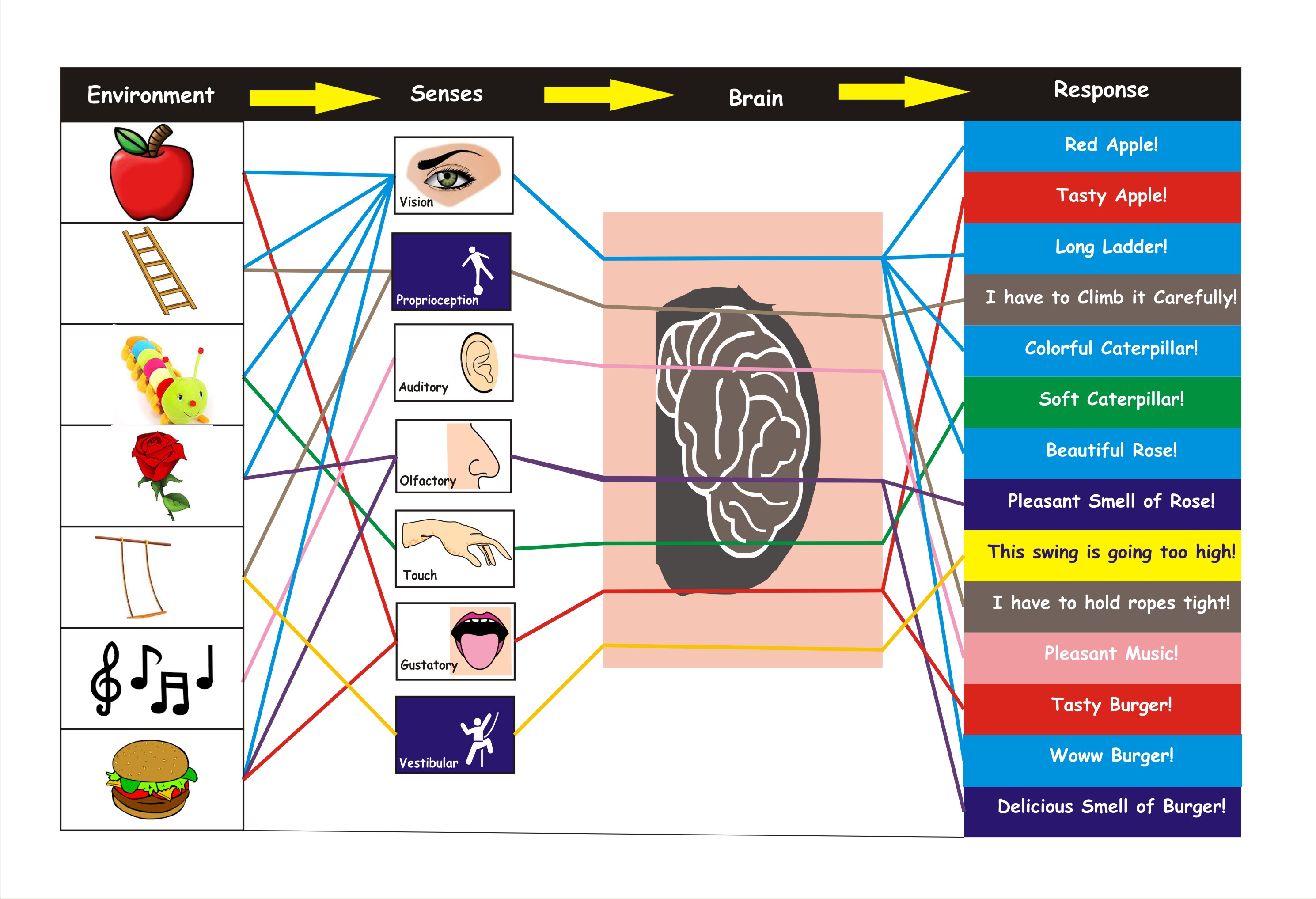 Sensory Processing Disorder