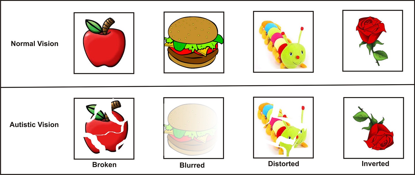Visual Processing Disorder and Autism